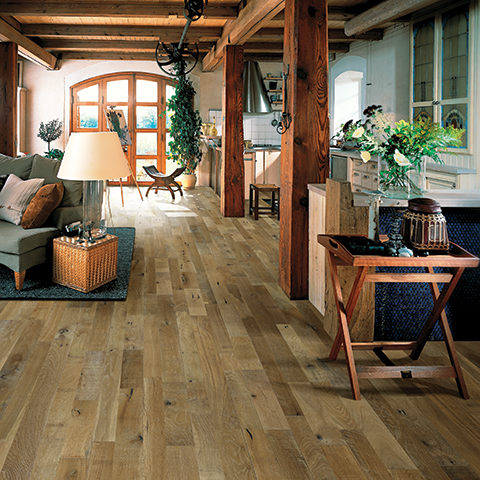 Organic Solid Residential Room Scene